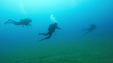 Divers underwater Stock Footage 263116149