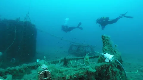 Divers underwater Stock Footage 263118049