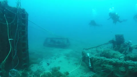 Divers underwater Stock Footage 263118140