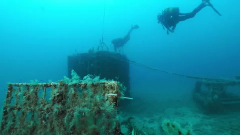 Divers underwater Stock Footage 263118937