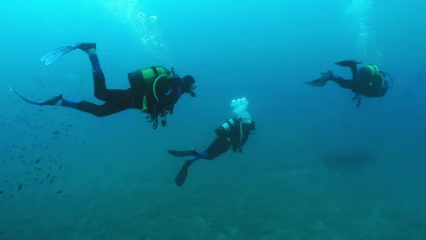 Divers underwater Stock Footage 263119361