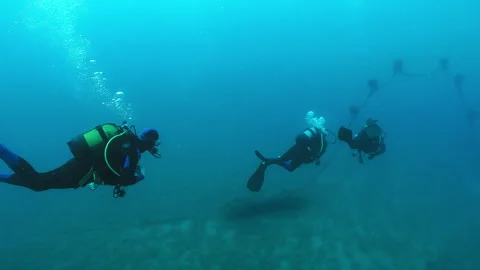Divers underwater Stock Footage 263120072