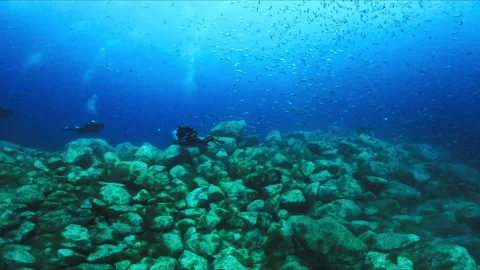 Divers underwater Stock Footage 263123530
