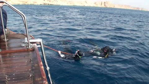 Divers using rope to get out of water sea. Video stock 233491775