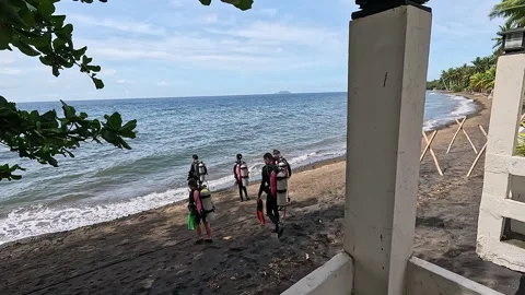 Divers walk on sandy beach to water edge preparing to enter ocean Stock Footage 307490760