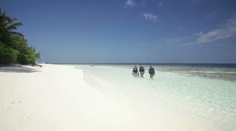 Divers walking on beach Stock Footage 10788369
