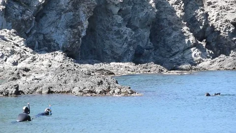 Divers in the water Stock Footage 75261852