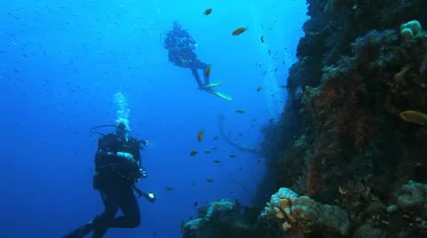 Divers at the wreck srounded by baitfish Stock Footage 22637668