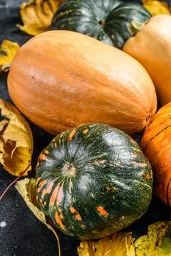 Diverse assortment of pumpkins on a table. Black background. Top view Fotos de archivo