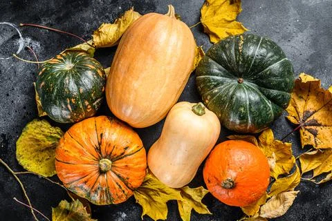 Diverse assortment of pumpkins on a table. Black background. Top view Fotos de archivo