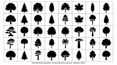 Diverse botanical tree silhouettes collection grid for graphic design Stock Illustration