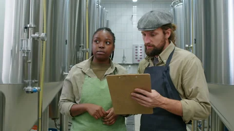 Diverse Brewery Workers Discuss Beer Maturing Process Stock Footage 236684035