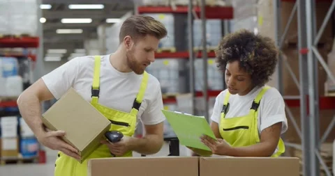 Diverse colleagues doing inventory in warehouse scanning barcode Stock Footage 151401766