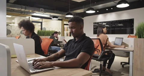Diverse colleagues using laptops in office Video stock 195217241