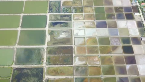 Diverse Collection of Glass Tile Samples Showing Color Variations Stock Footage 311102943