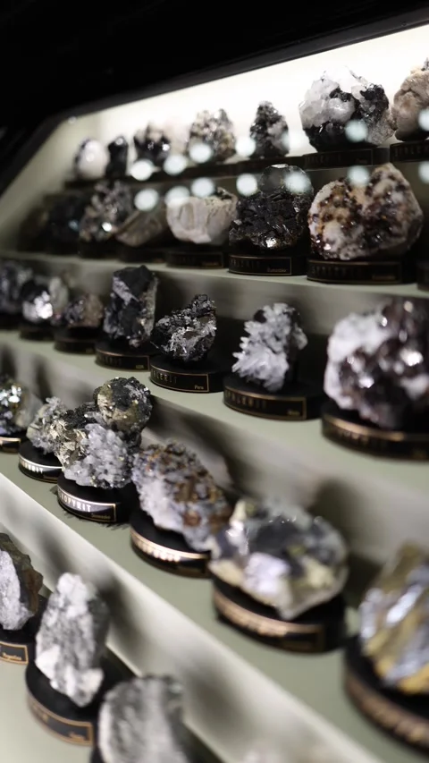 A diverse collection of sphalerite and other mineral specimens displayed in a mu Stock Footage 289637340