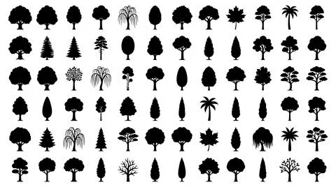 Diverse collection tree silhouettes botanical shapes graphic design elements Stock Illustration
