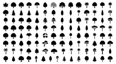 Diverse collection of tree silhouettes for graphic design projects Stock Illustration