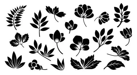 A diverse collection of various leaf designs and patterns in black and white Stock Illustration