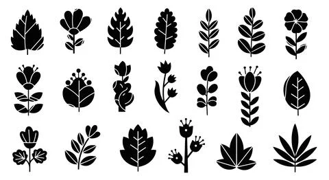 A diverse collection of various types of leaves showcasing nature's intrica.. Illustrazione stock