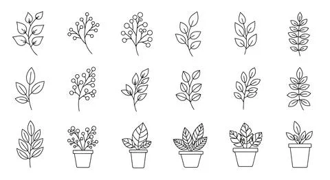 A diverse collection of various types of spiders depicted in intricate detail Stock Illustration