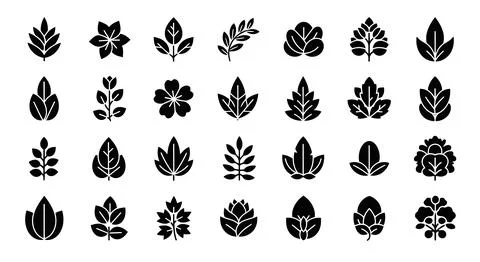 A diverse collection of various types of trees and plants illustrated in bl.. Stock Illustration