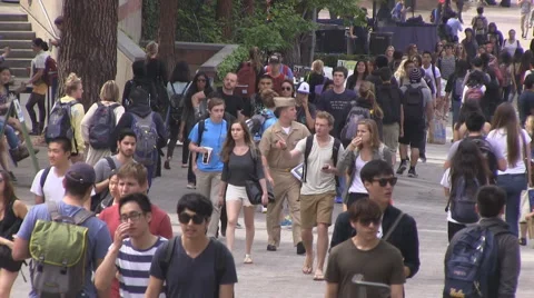 Diverse college students walking to class Video stock 47831247