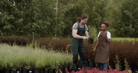 Diverse farmers checking plant quality Stock Footage 202139689