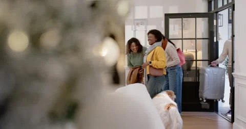 Diverse friends entering through front door, carrying luggage, photographing Stock Footage 344654709
