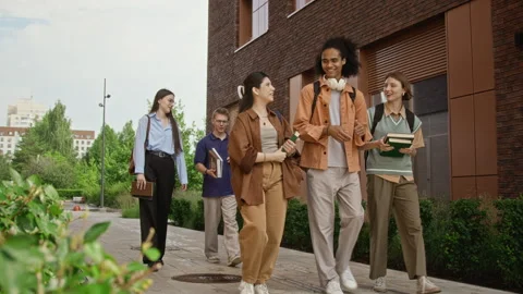 Diverse Group of College Students Walking near University Building Stock Footage 342110041