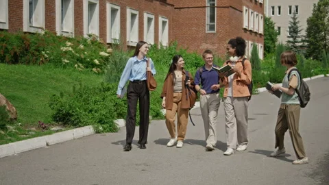 Diverse Group of College Students Walking and Talking on Campus Stock Footage 342115396