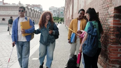 Diverse group of friends having fun outside college university. Students Stock Footage 303611131