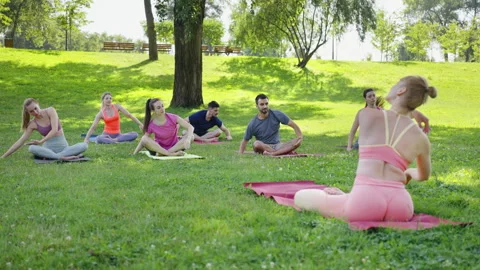 Diverse group of people practicing side bends in city park Stock Footage 247781814