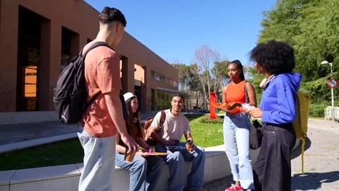 Diverse group of university students talking on campus Stock Footage 333753115