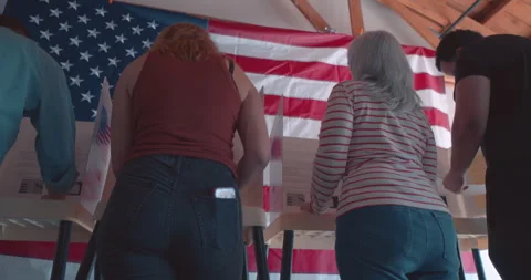Diverse group of voters voting at a polling station Stock Footage 274996199