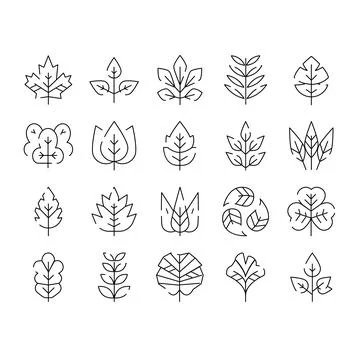 Diverse leaf line art icons set representing nature Illustrazione stock