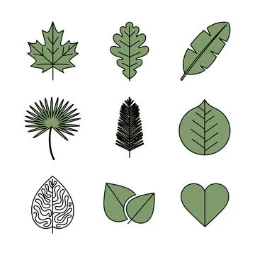 Diverse leaf types and plant illustrations Stock Illustration