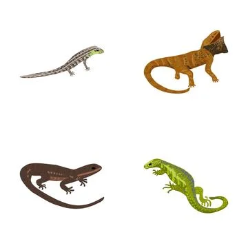 Diverse lizards and reptiles vector cartoon set Stock Illustration