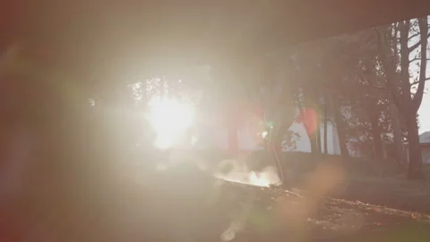 Diverse Man with Dreadlocks and Beard Shadow Boxes Under Bridge in Bright Stock Footage 270398159