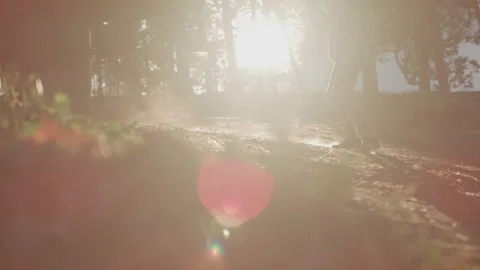 Diverse Man with Dreadlocks and Beard Shadow Boxes Outdoors in Setting Sunlight Stock Footage 270398256