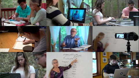 Diverse people remote learning during quarantine, listen webinar lecture Stock Footage 146127396