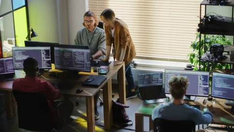 Diverse Programmers Working In Startup Office Stock Footage 223193089