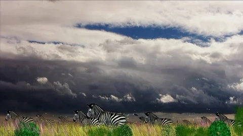 Diverse purpose background animation about Africa. Stock Footage 109293198