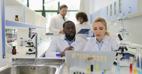 Diverse Scientists Discuss Experiment Results Using Laptop Computer Typing, Mix Stock Footage 77222568