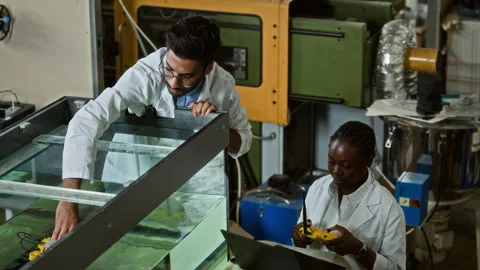 Diverse Scientists Testing Underwater Robotic Drone in Lab Tank Stock Footage 343521352