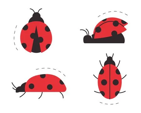 Diverse set of four red ladybug icons showing views from the top, side Stock Illustration