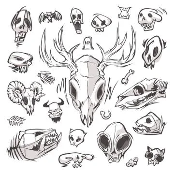 Diverse Skulls and Bones Set Stock Illustration