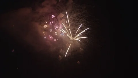 Diverse Slow-Motion Fireworks Vídeo Stock 110713030