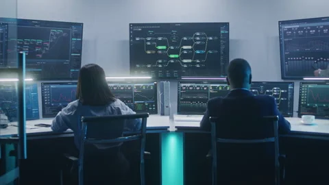 Diverse software engineers work on computers with database server Video stock 244410074