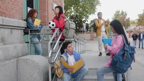 Diverse students having fun outside school university campus. Group of people ta Stock Footage 293356991